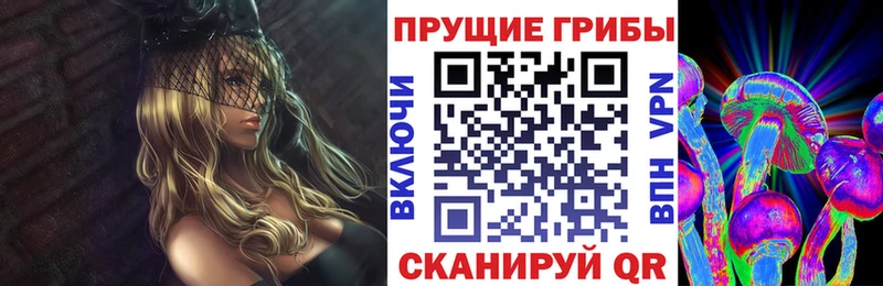 Псилоцибиновые грибы мицелий  даркнет сайт  Дагестанские Огни 
