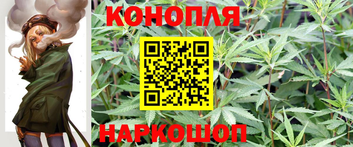 Шишки марихуана индика  Бошки марихуана тримм  Вход с VPN  Шишки марихуана White Widow  Дагестанские Огни  Бошки Шишки гибрид 